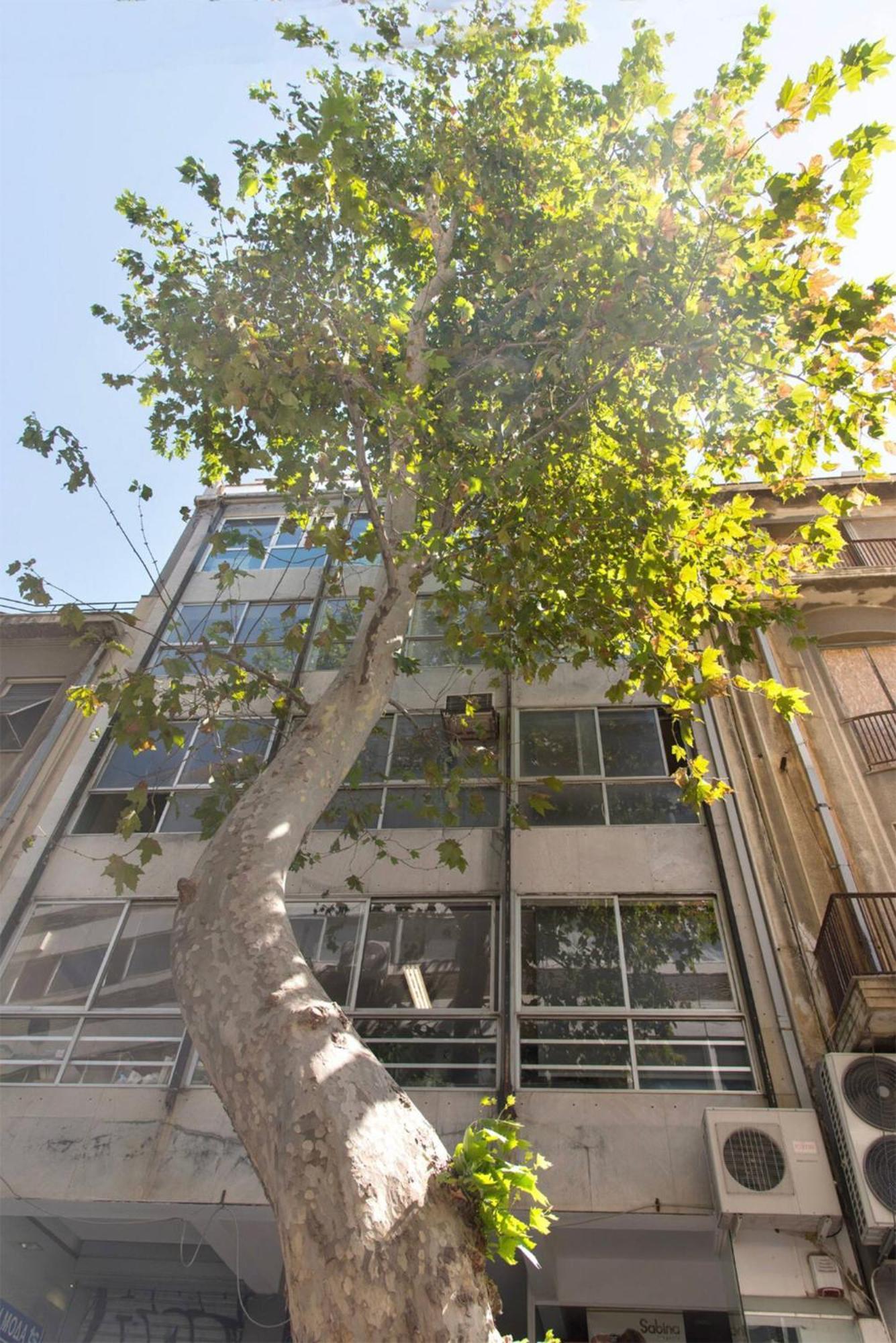 Am16 Suites Atenas Exterior foto